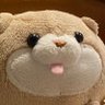 はまも🐗🌼 profil fotoğrafı