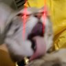 Profilbild von XAKREE