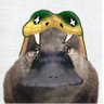 Profilbild von さ と り