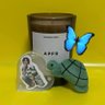 しのんのん🐢🎁🌙's profile picture