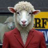 Profilbild von BĂĂFM.TV