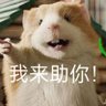 伤心小猪蹄 的头像