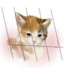 Profilbild von 猫好き