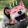 よっちゃん's profile picture