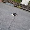 Фото профиля てんどん