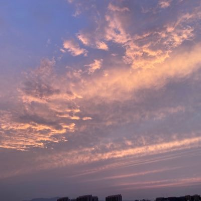 tbfzfh974p1's profile picture