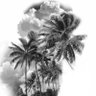 Profilbild von ZMAAbuRaba,a