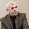 جاویدمنصور 的头像