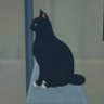 æçŠœ profil fotoÄrafı