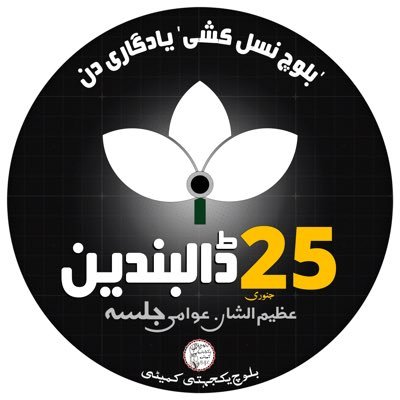 Beebow Baloch's profile picture