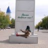 Фото профиля Гнездо пересмешника