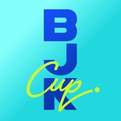 Billie Jean King Cup's profile picture