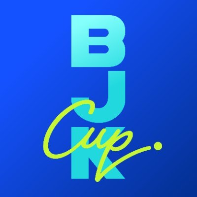 Billie Jean King Cup's profile picture
