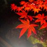 いと 的头像