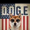 Фото профиля DOGE-T