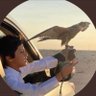 Profilbild von سلطان