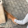 เอนเม 的头像