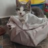 Sammy profil fotoğrafı