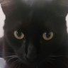 Profilbild von Mari