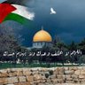 سيف الدين العمري 的头像