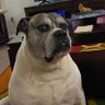 Profilbild von Javier