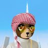 Ibrahim.eth's profile picture