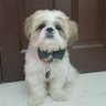 உரைசால் profil fotoğrafı