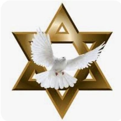 Bereshit2815's profile picture