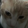 bvop profil fotoğrafı