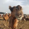 Mehmet profil fotoğrafı