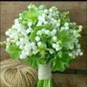 Nadir Khan's profile picture