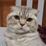 atasagun profil fotoğrafı