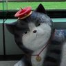 Not a Bot's profile picture