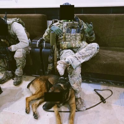 RileyAesthetics's profile picture