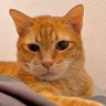 kingggggggggggggg's profile picture