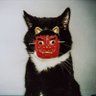 cat 的头像