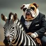 Profilbild von movemaker