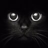 Фото профиля Esteban de la gato 🐈⬛