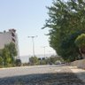 سنكل بغداد profil fotoğrafı