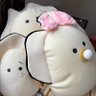 ぴょぬ's profile picture