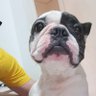 TAAA profil fotoğrafı