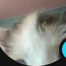 Profilbild von Skyr
