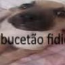 sla o que faço aqui profil fotoğrafı