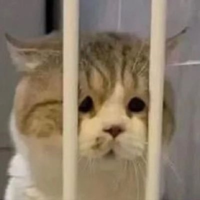 heuannn's profile picture
