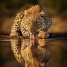 🔻Proudly African🔻 profil fotoğrafı