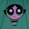 shahd's profile picture