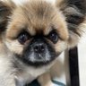 ガイア profil fotoğrafı