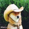Brooks's profile picture