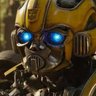 Profilbild von 🐝 Bumble Bee 🇮🇳