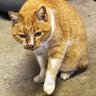 Фото профиля はっこピー
